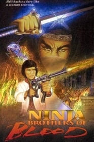 Ninja Knight Brothers of Blood' Poster