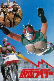 Kamen Rider Eight Riders vs Galaxy King' Poster