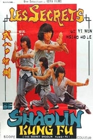 The Secret Shaolin KungFu' Poster