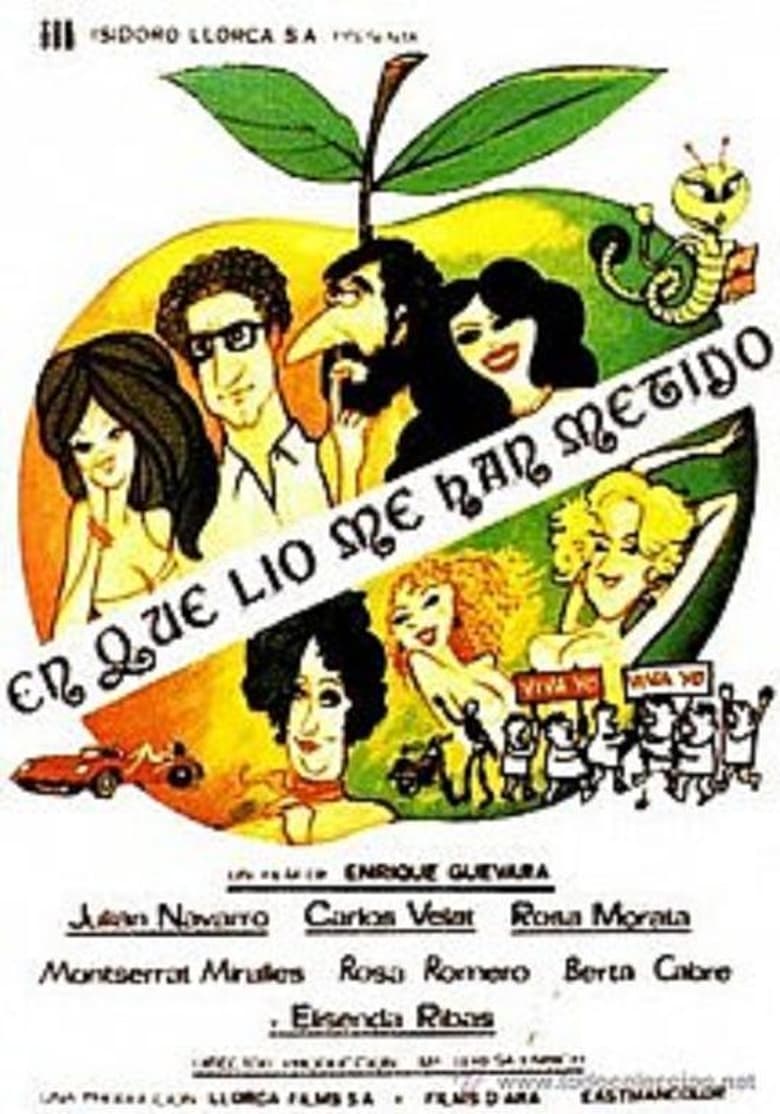 ¡En qué lío me han metido! Poster