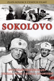 Sokolovo' Poster