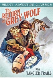 The Return of Grey Wolf' Poster