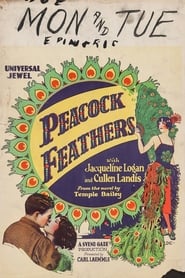 Peacock Feathers' Poster