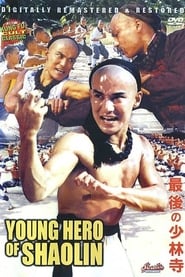 The Young Hero of Shaolin' Poster