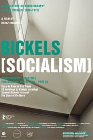 Bickels Socialism' Poster