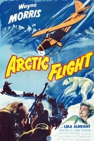 Arctic Flight' Poster