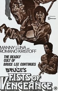 Bruces Fists Of Vengeance' Poster