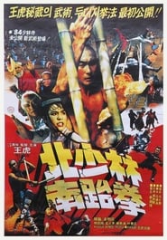 North Shaolin South Taekwon' Poster