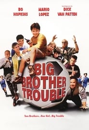Big Brother Trouble' Poster