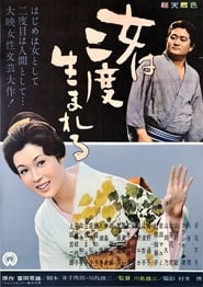 A Geishas Diary' Poster