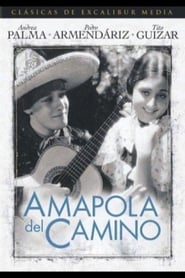 Amapola Del Camino' Poster