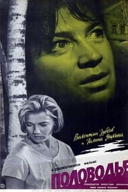 Polovodye' Poster