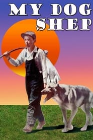 My Dog Shep' Poster