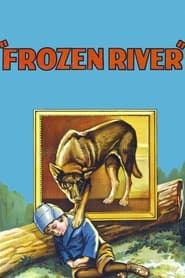 Frozen River' Poster