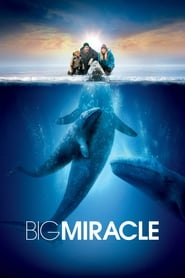Streaming sources forBig Miracle