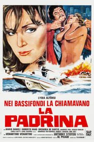 Lady Dynamite' Poster