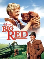 Big Red' Poster