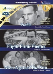 Flight from Vienna' Poster