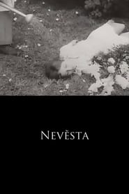 Nevsta' Poster