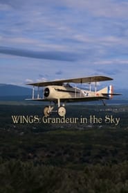 Wings Grandeur in the Sky' Poster