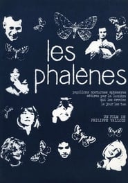 Les phalnes' Poster