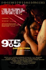 9to5 Days in Porn' Poster