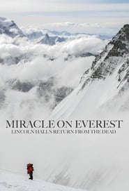 Miracle on Everest' Poster