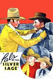 Pals of the Silver Sage' Poster