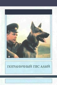 Border Dog Scarlet' Poster