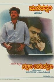 Pallavi Anu Pallavi' Poster