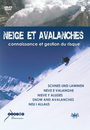 Neige et Avalanches' Poster