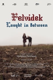 Felvidek  Caught in Between' Poster