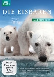 Polar Bear Spy on the Ice' Poster