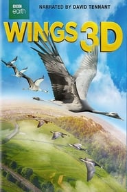 Wings 3D' Poster