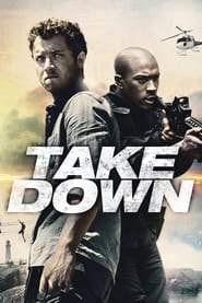 Take Down' Poster