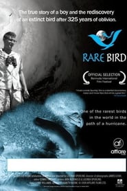 Rare Bird' Poster