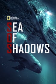 Sea of Shadows' Poster