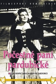 Poestn pan pardubick' Poster