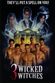 3 Wicked Witches' Poster