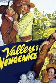 Valley Of Vengeance' Poster