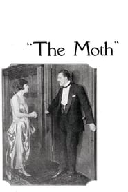 The Moth' Poster