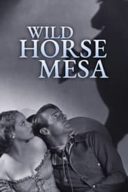 Wild Horse Mesa' Poster