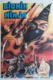 Ninja Assassins' Poster