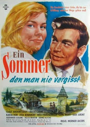 Ein Sommer den man nie vergit' Poster