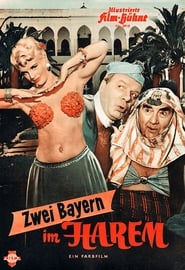 Zwei Bayern im Harem' Poster