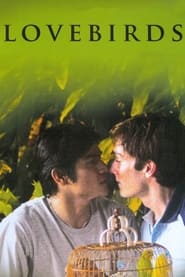 Lovebirds' Poster