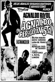 Agnaldo Perigo  Vista' Poster