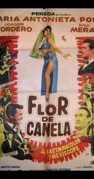 Flor de canela' Poster