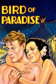 Bird of Paradise' Poster