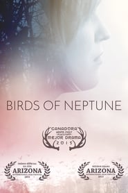 Birds of Neptune' Poster
